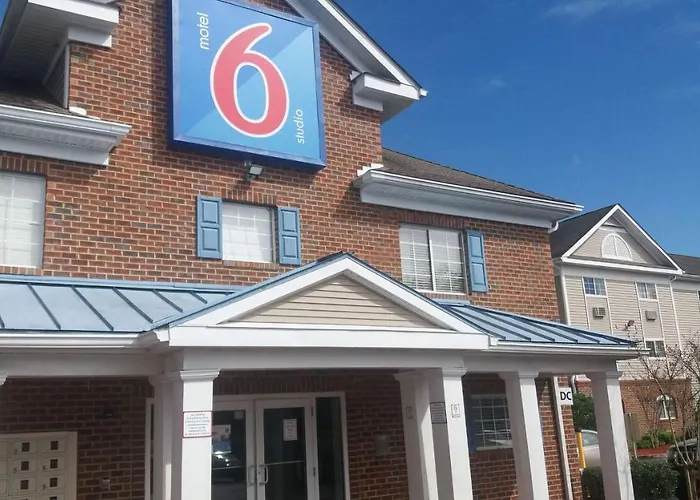 Discover Rug Hooking Inspiration from Around the World