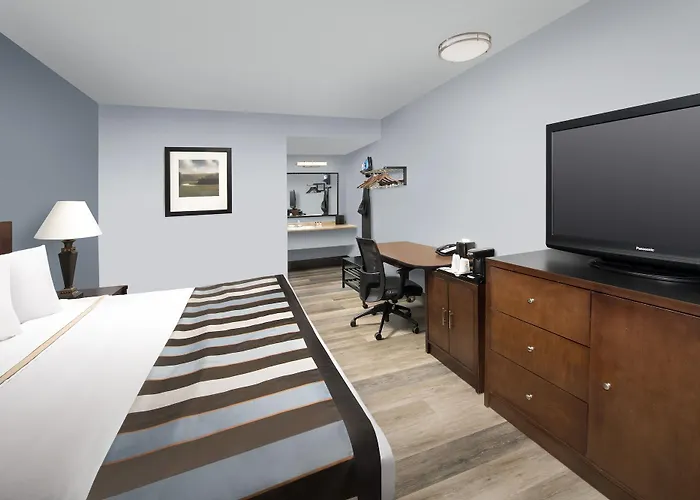 Discover Rug Hooking Inspiration from Around the World