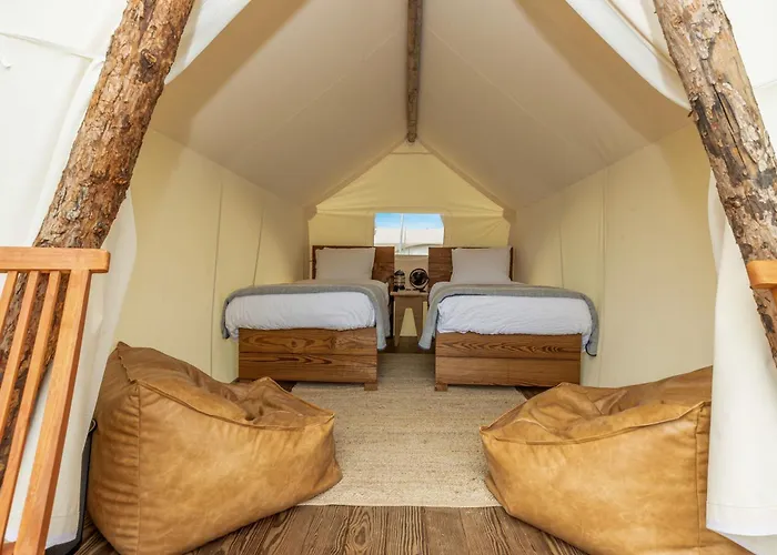 Discover Rug Hooking Inspiration from Around the World