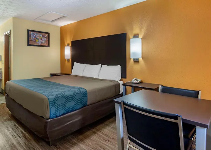 Discover Rug Hooking Inspiration from Around the World