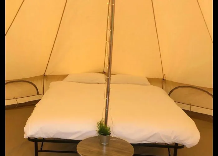 Discover Rug Hooking Inspiration from Around the World